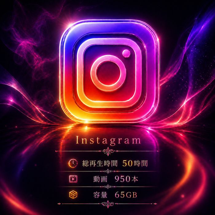 【早期終了】総再生50時間超え！二度と手に入らないインスタライブ秘蔵まとめ（950本 / 65GB）