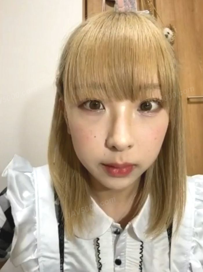 某メイドさんとずむにー